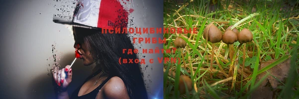 прущая мука Мегион