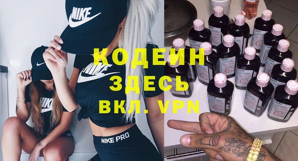 индика Медногорск
