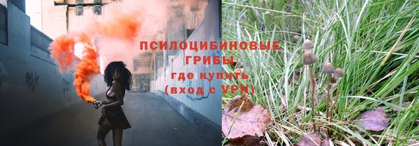 прущие крисы Алексеевка