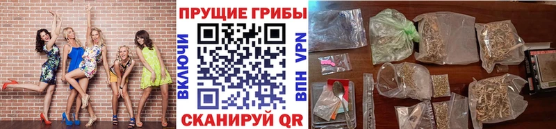 omg рабочий сайт Новотитаровская Галлюциногенные грибы Magic Shrooms