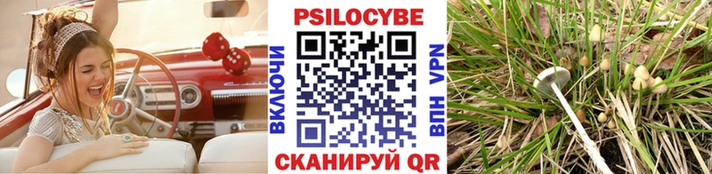 Галлюциногенные грибы ЛСД Новотитаровская